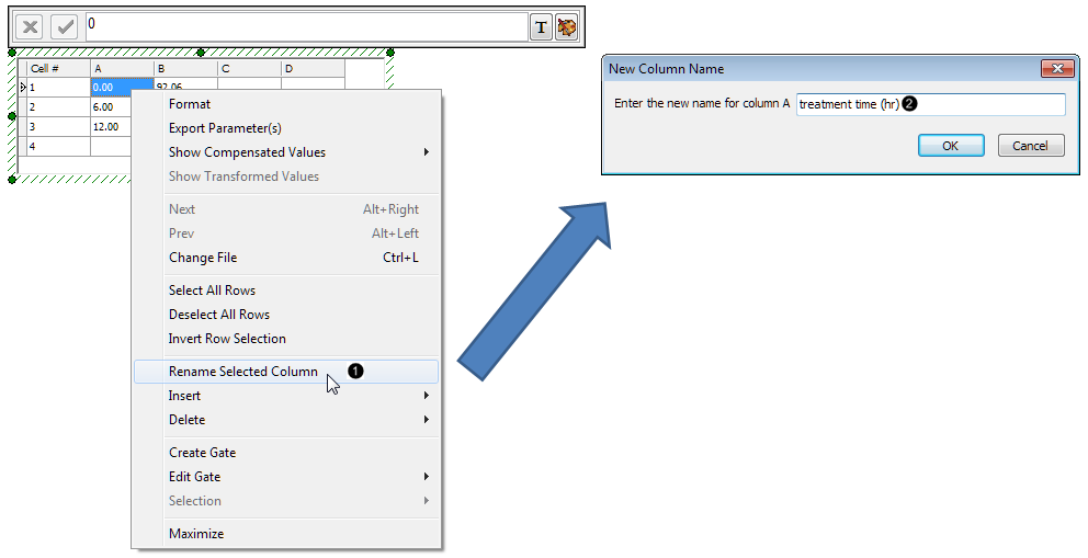 Figure 26.  Renaming a column in the Custom Data Grid