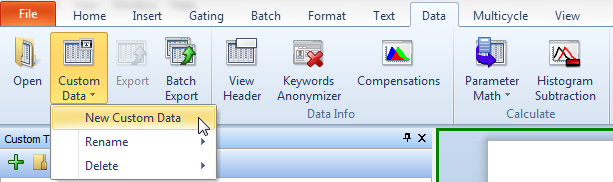 Figure T17.23  Selecting the New Custom Data Command