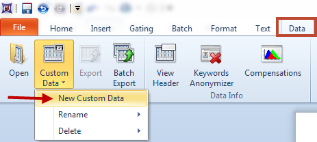 New Custom Data Menu from Data Tab