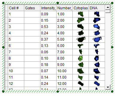 Figure T26.21  Data Grid Displaying the Chosen Parameters, Individual Cell Images, and a Column for Gates