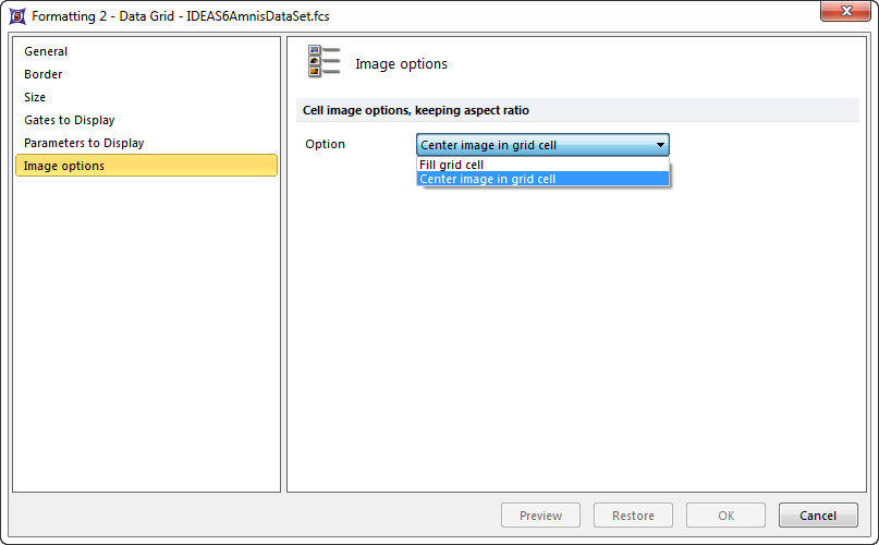 Figure 8.93 Formatting image options in a Data Grid