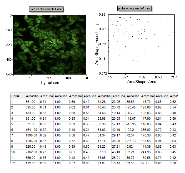 Figure T26.19  A Picture Plot, Data Grid, and Color Dot Plot Arranged on the Layout for Analysis