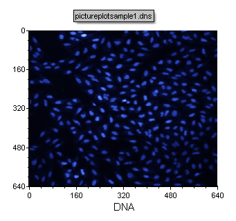 Figure T26.6  The DNA Image Channel Associated with pictureplotsample1.dns