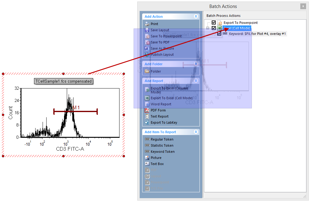Figure T9.20A  Dragging and Dropping a Histogram onto the Batch Actions Window