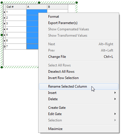 Figure T17.25  Rename Selected Column Menu Item