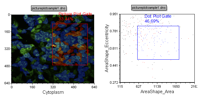 Figure T26.22  Examples of Gates to Create on the Picture and Dot Plots