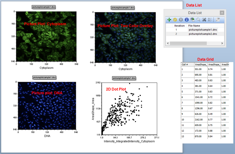 Figure T28.1  Overview of the IntroToImage1.fey layout