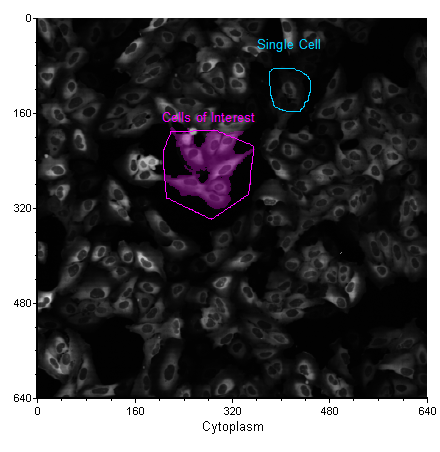 Figure 28.14  Single Cell Gate Drawn on a Picture Plot