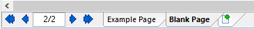 Figure T28.11   Selecting the Blank Page Tab