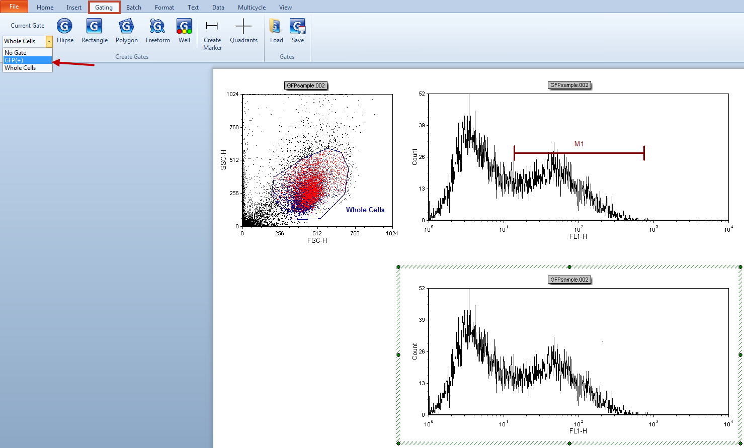 Figure T7.9  Applying the GFP(+) Gate to the Lower Right Histogram