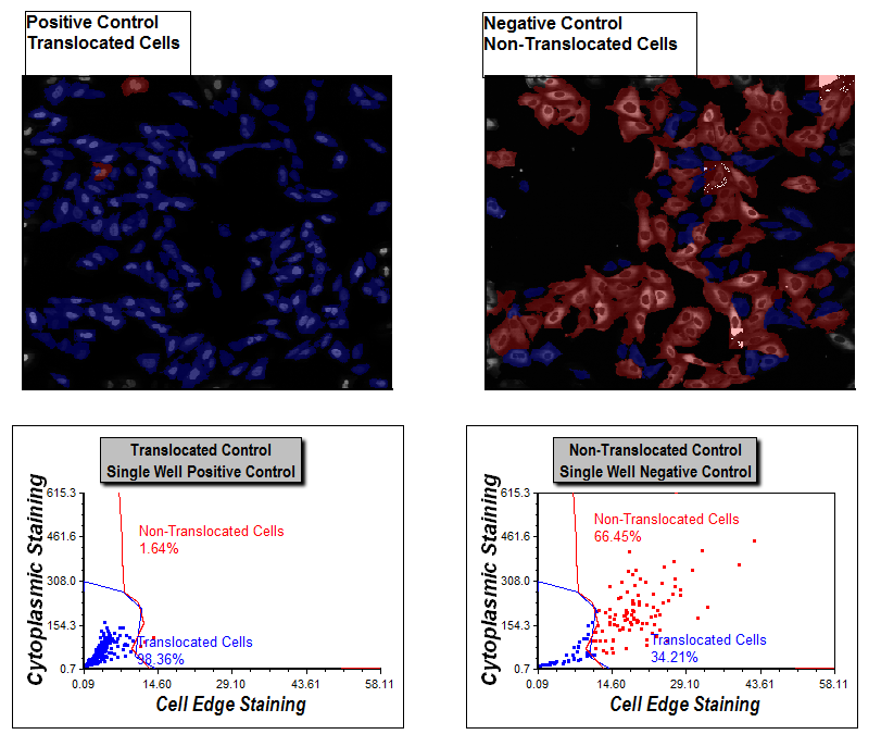 Figure T28.42   Display of Gates on Dot Plots and Gated Cell in Picture Plots
