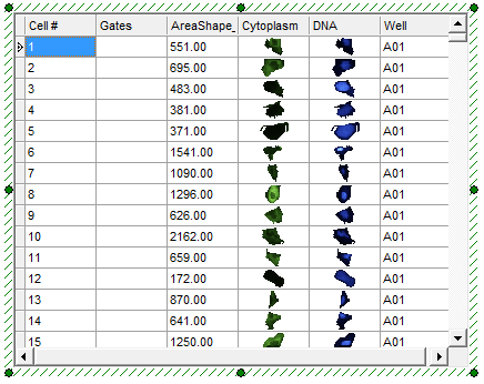 Figure 28.2  Data Grid with Well Column