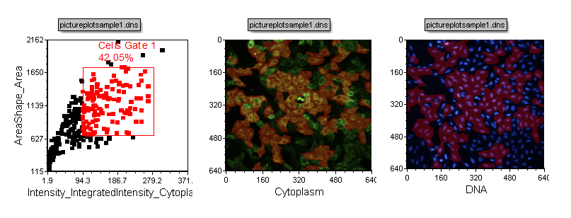 Figure T28.8  Highlighting of Cells Included in Cells Gate 1