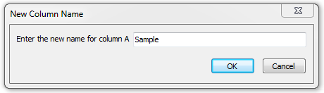 Figure T15.8  New Column Name Dialog