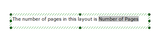 Figure 19.4  Display Text - Token Description