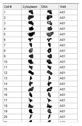 Figure T28.48  Data Grid Configured to Display Cell Images in a Cell Gallery