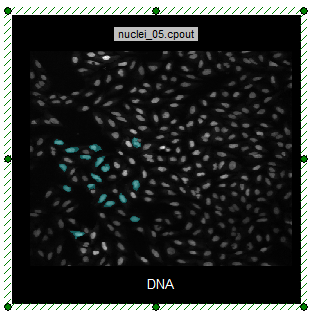 Figure T28.28b  Highlighted Cells Are Within Combined Gates