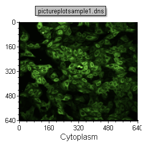 Figure T28.12  The Inserted Picture Plot