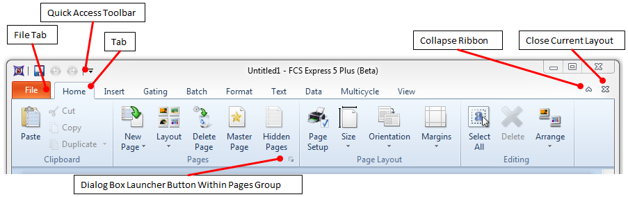 Figure 3.5  The Ribbon