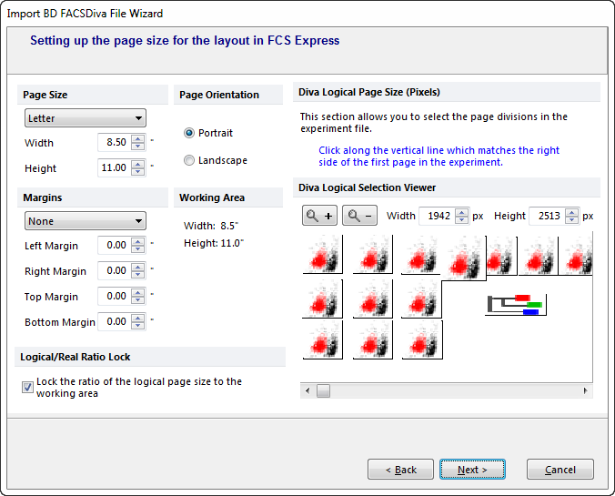Figure 24.3  Import BD FACSDiva File Wizard - Setting Page Size