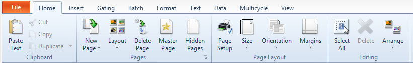 Figure 3.11  Home Tab