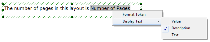 Figure 19.6  Display Text Pop-up Menu