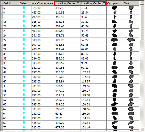 Figure T28.32   Formatted Data Grid With Added Parameters