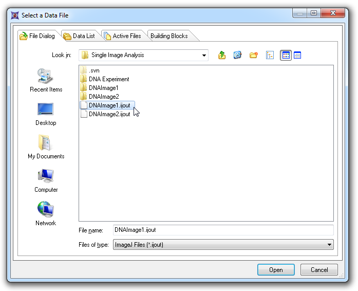Figure T28.100 The Single Image Analysis folder after processing the images. There will be separate .ijout files for each image and folders that contain the results and masking files.