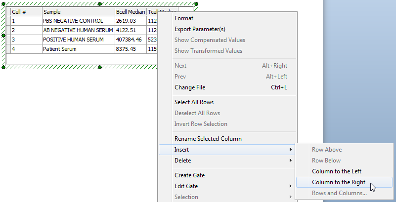 Figure T15.29  Inserting a New Column into the Data Grid