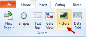 Insert Picture from Ribbon