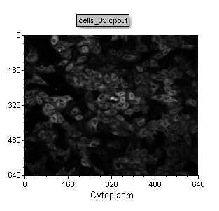 Figure T24.23  Example of the Cells (5 Minute Time Point) Picture Plot