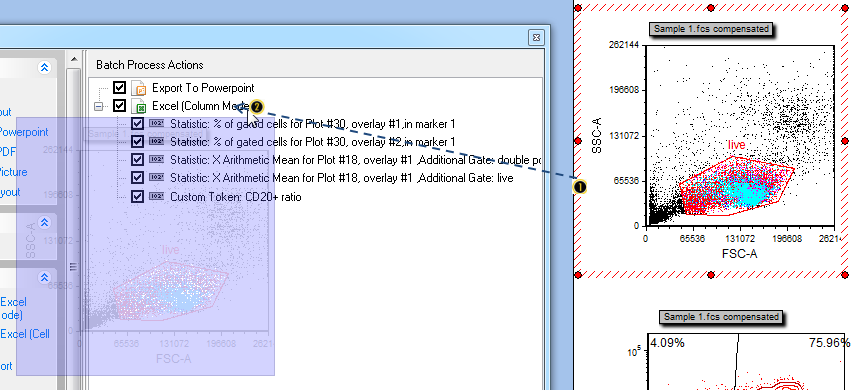 Figure T29.42  Dragging and dropping a plot-derived element into the Excel export of the Batch Process Actions window