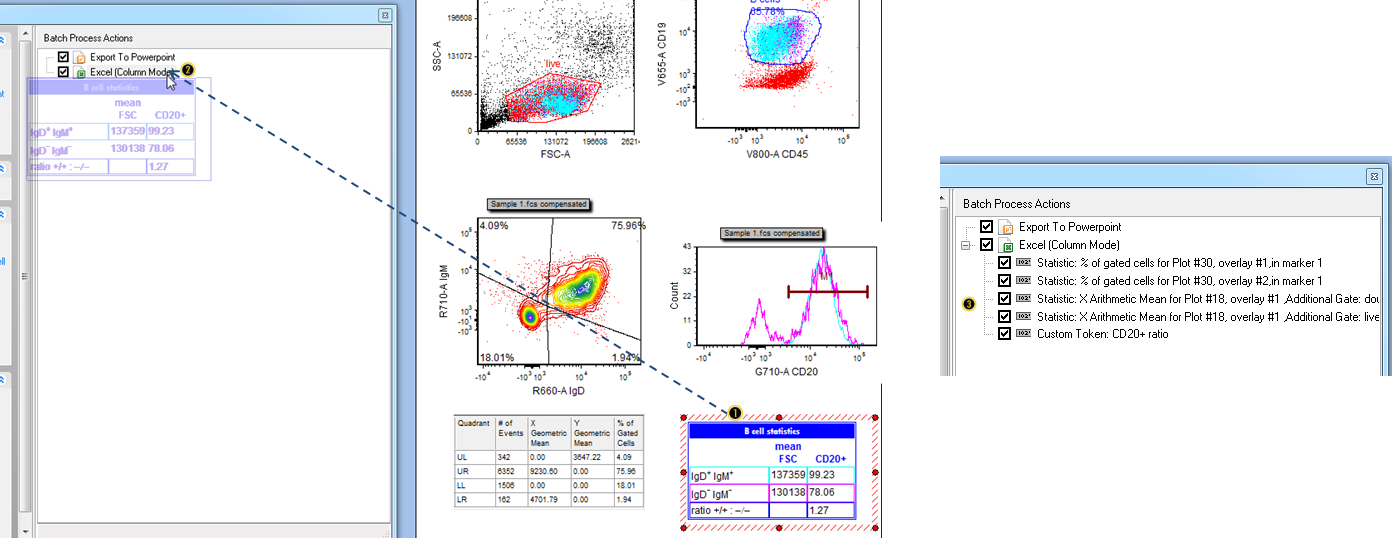 Figure T29.41  Dragging and dropping the tokens within a text table into the Excel export in the Batch Process Actions window.   (Note:  the layout pictured has had the optional steps completed for adding red outlier dots to the contour plot, and for normalizing the histogram.  If you are using your own layout from the previous section and skipped those steps, those two plots will look slightly different.)