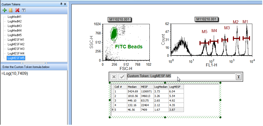 Figure T27.3  Custom Token Successfully Placed in the Custom Data Grid 