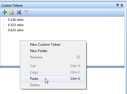 Figure T17.17  Paste Custom Token(s) Item in the Pop-up Menu