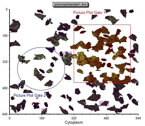 Figure T26.17  Picture Plot with Dot Plot Gate Applied