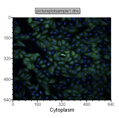 Figure T26.7  Picture Plot Overlay Displaying the Cytoplasmic and DNA Channels as a Merged Image
