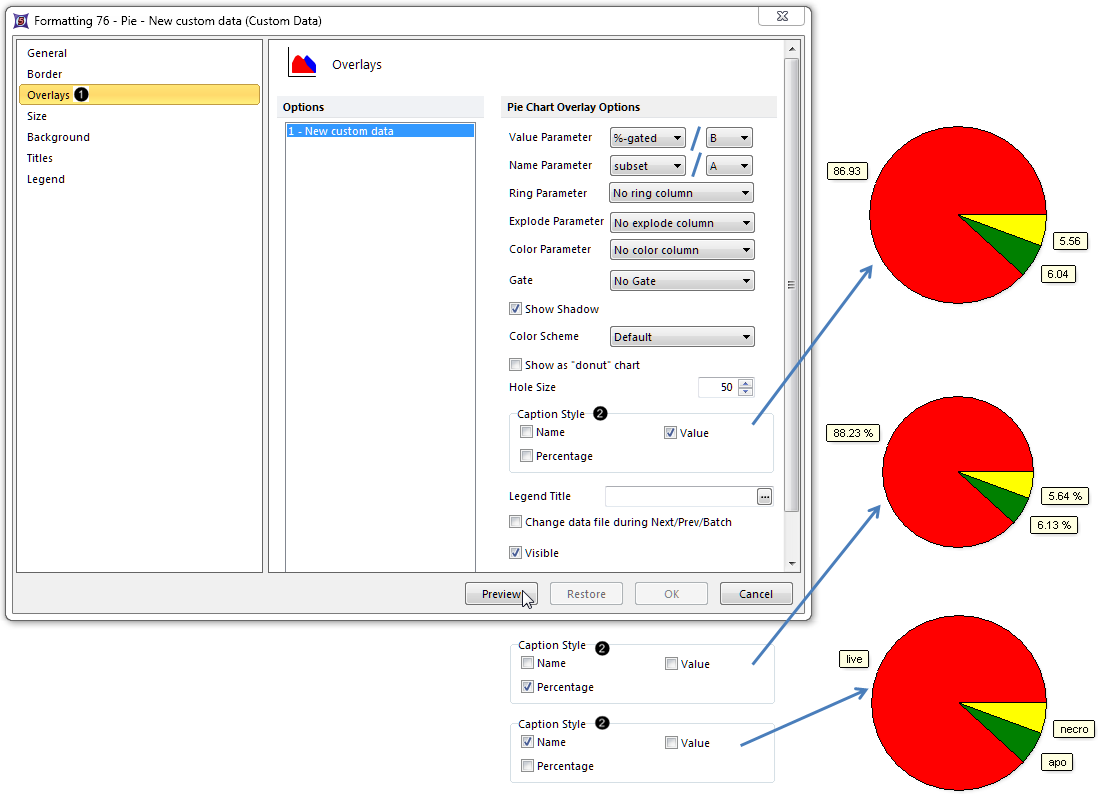 Figure 18.  Editing the Caption Style of the Pie Chart