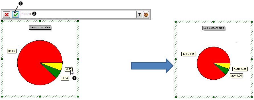 Figure 15.  Editing a Pie Chart Caption directly from the Pie Chart