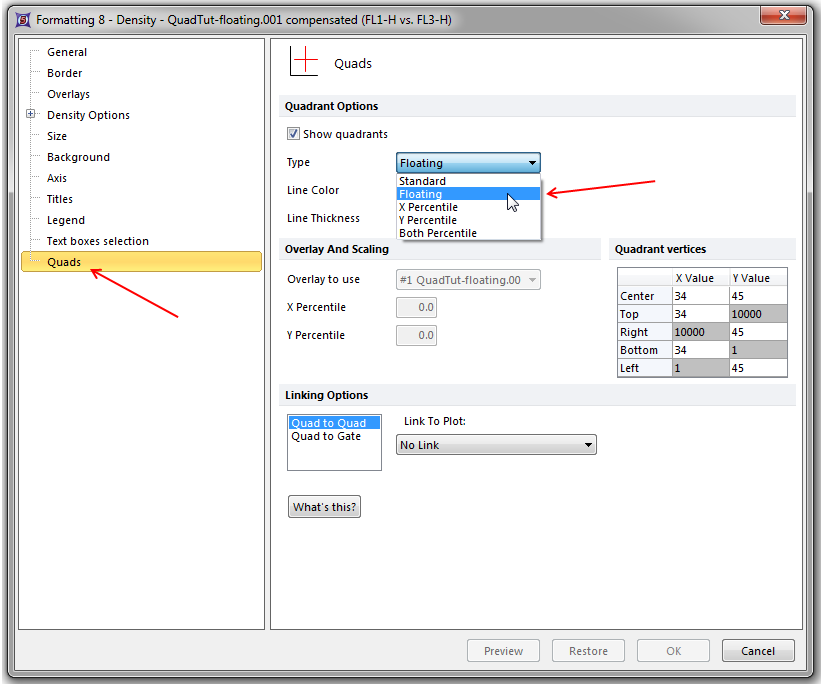 Figure T6.7  Quads Category of the Formatting Dialog