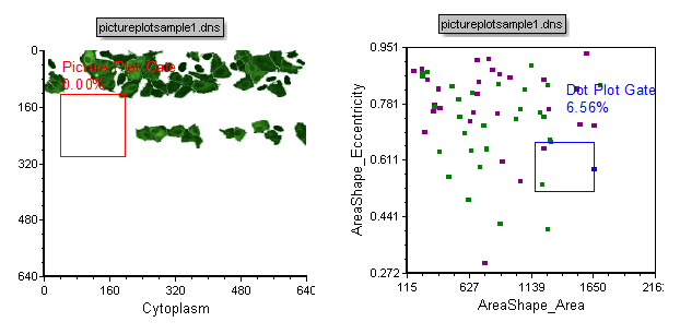 Figure T26.34  Picture Plot and Dot Plot After Adding a New Range to the Selected Cells Gate