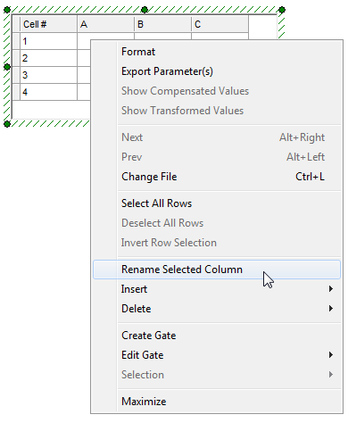 Figure T15.7  Rename Selected Column Command