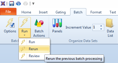 Figure 17 - Rerunning Batch Processing