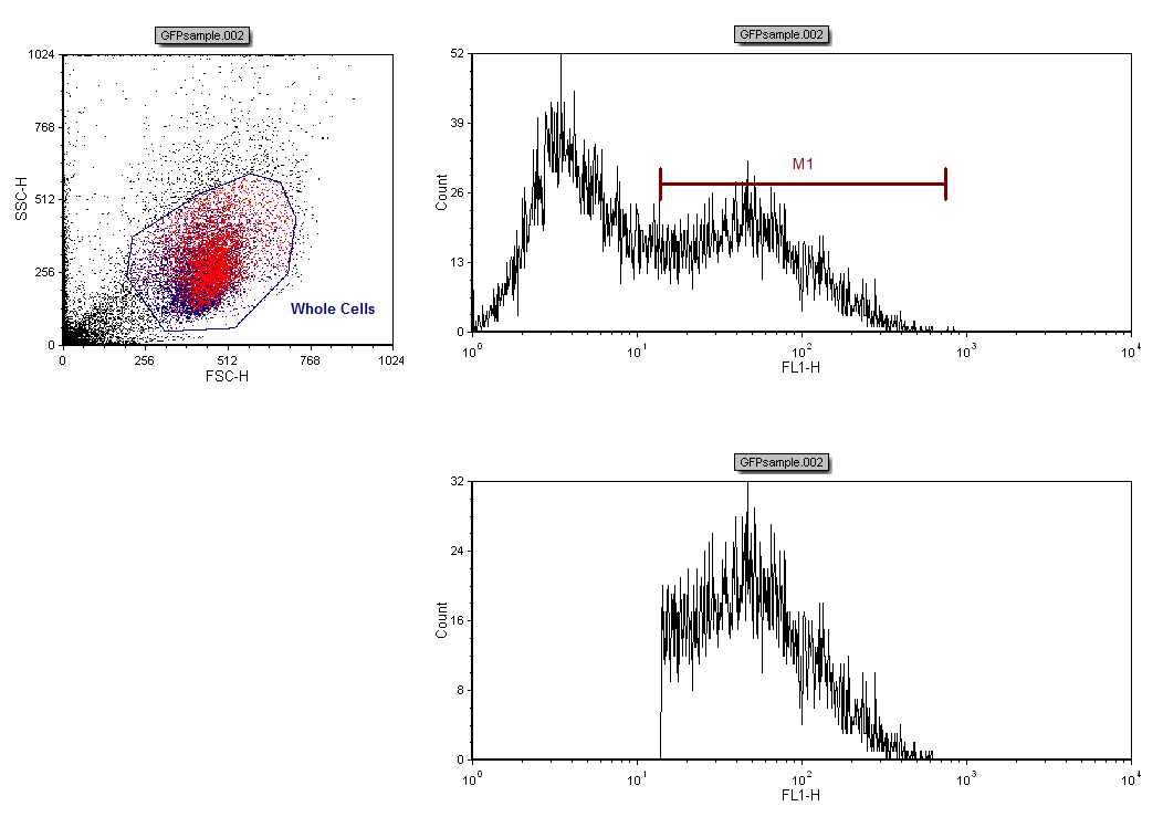 Figure T7.10  Lower Right Histogram Gated on GFP(+)