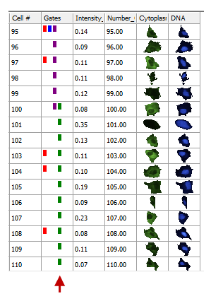 Figure T26.32  Selected Cells Range Gate Displayed as a Green Box in the Gates Column