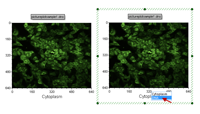 Figure T26.5  Choosing the DNA Imaging Channel
