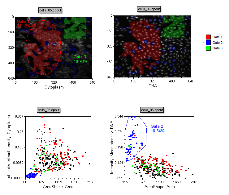 Figure T24.24  Example of Gating on a Picture Plot and Backgating from a Dot Plot to a Picture Plot