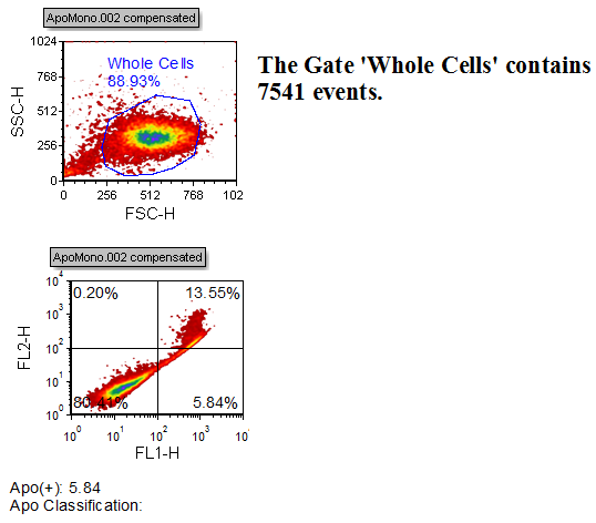 Figure T5.32  Token Classifier Layout (TokenClassifier.fey)