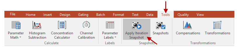 Figure 8 - Apply Iteration Snapshot Tool