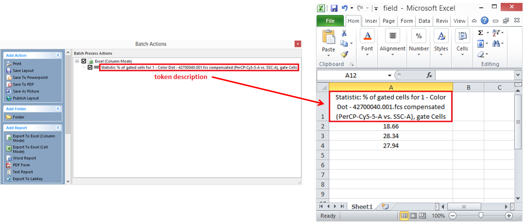 Figure 20.36  Token description automatically exported to Excel as Column Name in FCS Express V5